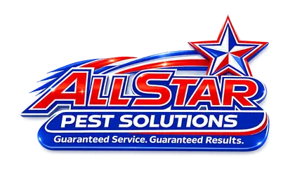 All Star Pest Solutions